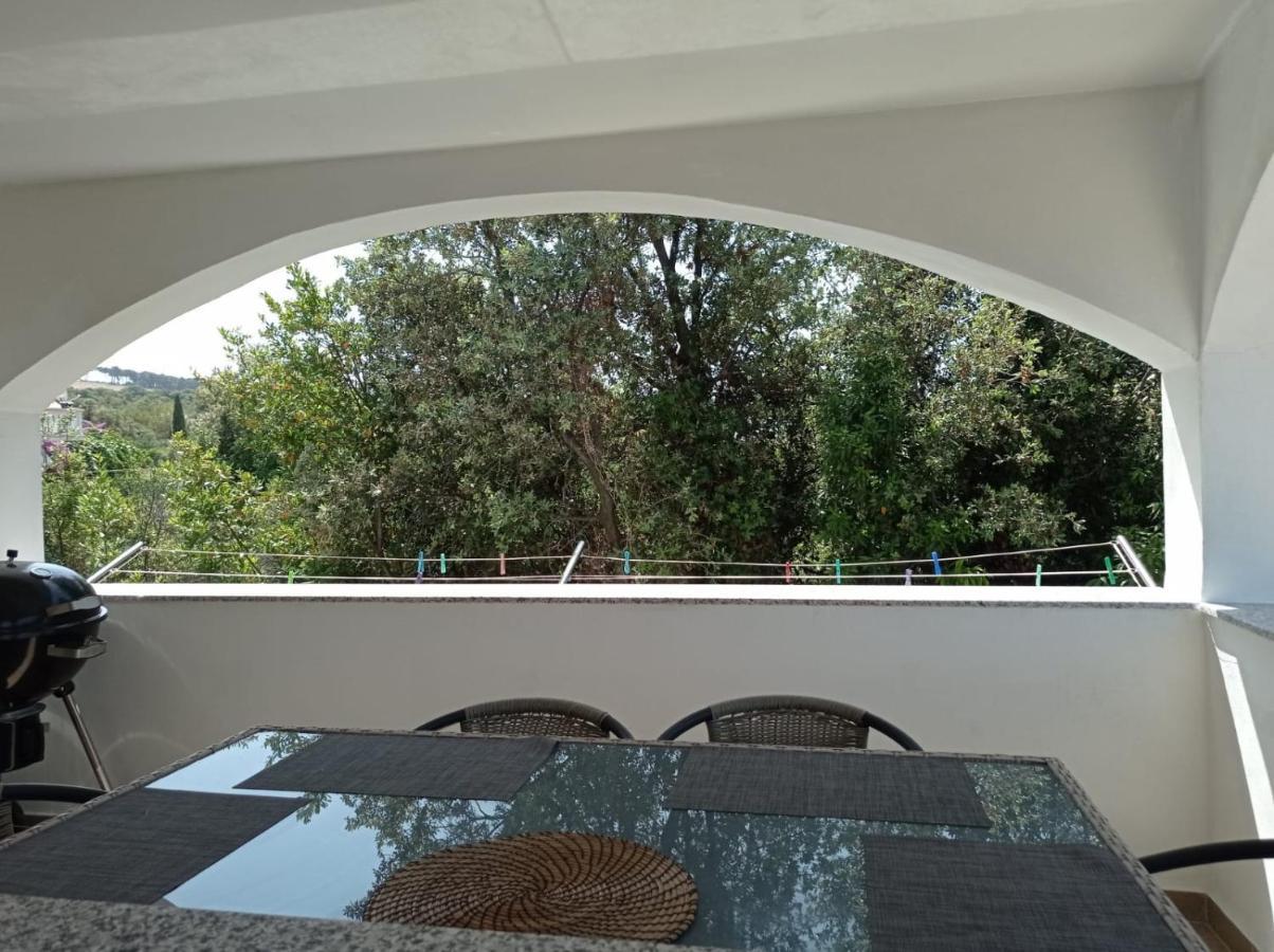 Apartmán Ap Jurisic Bibinje Exteriér fotografie