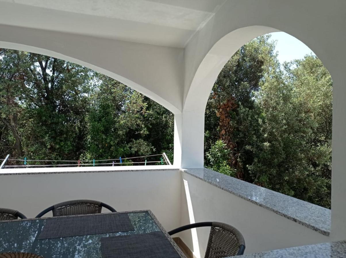 Apartmán Ap Jurisic Bibinje Exteriér fotografie